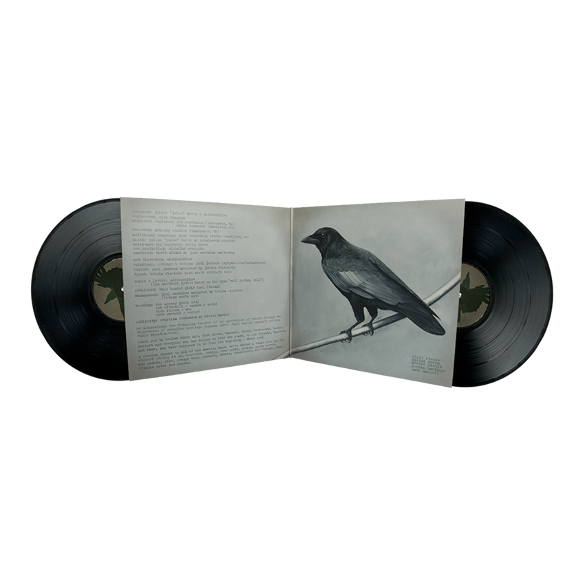Old Crows / Young Cardinals 2x12" Vinyl (Black)